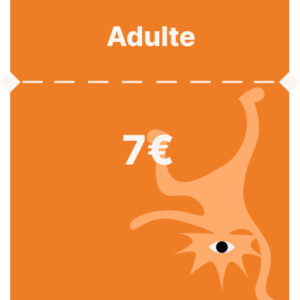 Billet Nuits Numériques — Adulte